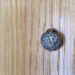 Oorbel Zilver, clip, a été signalé par Rijksmuseum van Oudheden utilisant iLost