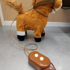 Leketøy poney, som rapportert av IKEA Orléans - Ardon ved bruk av iLost