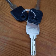 Sleutelbos, gemeldet von Gemeente Hollands Kroon über iLost