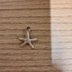 Ørering White gold in the shape of a star, som rapportert av Vrije Universiteit Brussel (VUB) ved bruk av iLost