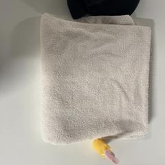 Törülköző, Sapka & Testápoló towle, amint azt Silver Sands Beach az iLost segítségével jelentette.