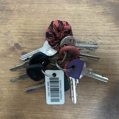 Sleutelbos, som rapporterats till iLost