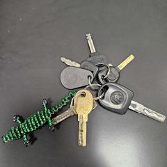 Kulcstartó met sleutelhanger (groene hagedis), amint azt Stad Hasselt az iLost segítségével jelentette.