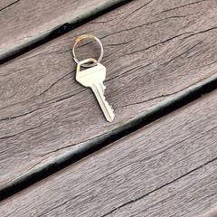 sleutel, som rapporterats till iLost