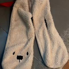 Sjal, som rapportert av Diergaarde Blijdorp ved bruk av iLost