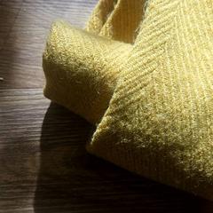 Xal, segundo informou GVB usando iLost