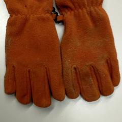 Handschoenen Bruin, zoals gemeld door Burgers' Zoo met iLost