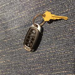 Autoaren giltza, gisa salatu by Pouw Vervoer iLost erabiliz