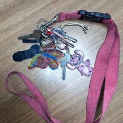 Sleutels, segons ha informat Qbuzz DMG mitjançant iLost