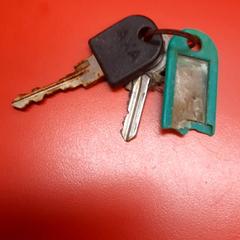 İLost kullanarak UvA REC tarafından bildirildiği gibi Anahtarlar