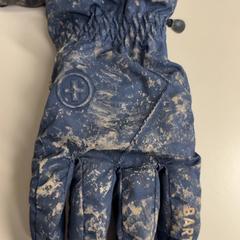 Kesztyű Blauw, amint azt Burgers' Zoo az iLost segítségével jelentette.