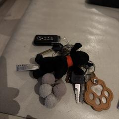 Sleutelbos, ako bolo nahlásené iLost