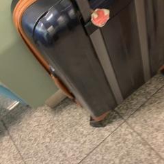 Suitcase, as reported by Eindhoven Airport using iLost