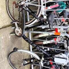 남성용 자전거 Giant, iLost를 사용하여 Stadswerk072에 보고됨