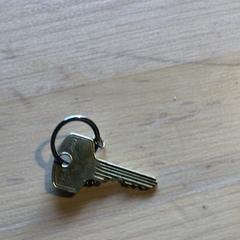 Etxeko giltza, gisa salatu by Paaspop 2025 iLost erabiliz