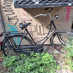 Zwarte opoefiets, segundo informou a iLost