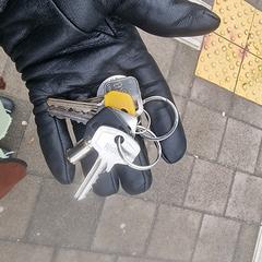 Keys sleutels, as reported to iLost