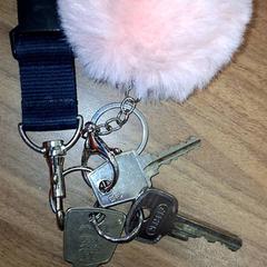 Sleutels, como reportado por Qbuzz DMG utilizando o iLost