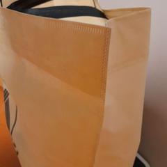 バッグ beige がiLostで TCL によって報告されました