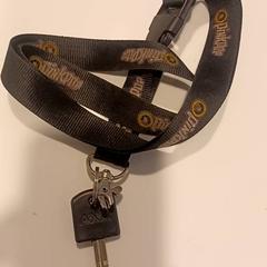 المفاتيح (متنوعة)، كما تم الإبلاغ عنه بواسطة RAI Amsterdam عبر iLost