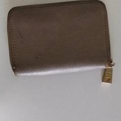 Portafoglio Seyour, come riportato da Regio Antwerpen - Brussel utilizzando iLost