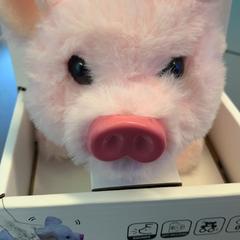 Knuffel roze, segundo informou Eindhoven Airport usando iLost