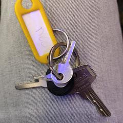Keys with Yellow tag (D60), come riportato a iLost