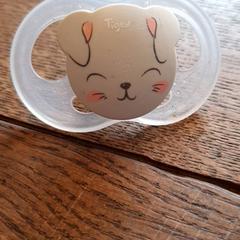 Tettarella Doorzichtig met poesjes voorop, come riportato da DierenPark Amersfoort utilizzando iLost