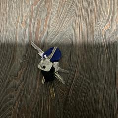 Sleutelbos, iLost에 보고됨