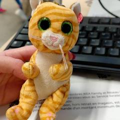 Chaveiro chat, segundo informou IKEA Brest Guipavas usando iLost