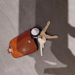 Sleutelbos, jak bylo nahlášeno na iLost