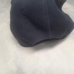 Pet Blauw/bruin, zgłoszono przez Arriva Friesland / Groningen przy użyciu iLost