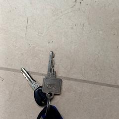 Sleutelbos, zoals gemeld door Qbuzz GD Groningen Peizerweg met iLost