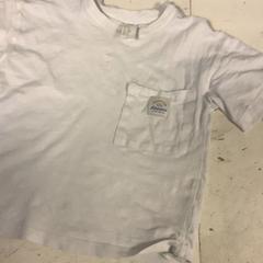 Roupa, segundo informou Artis usando iLost