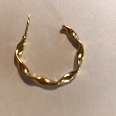 Oorbel, zoals gemeld door Attractie- & Vakantiepark Slagharen met iLost