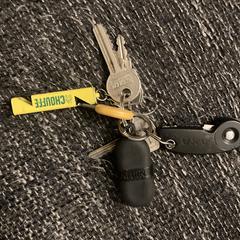 Sleutelbos, iLost에 보고됨