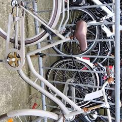 Damenrad, gemeldet von Stadswerk072 über iLost