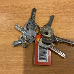 Sleutelbos, zoals gemeld door Gemeente Amsterdam met iLost