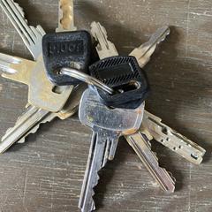 Sleutelbos, som rapportert til iLost