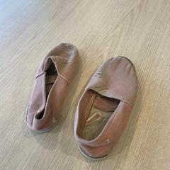 Obuv roze, jak nahlášeno Van Heugten Tours pomocí iLost