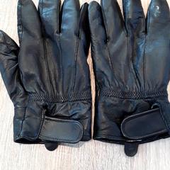 Gloves, as reported by EBS Tramplein using iLost