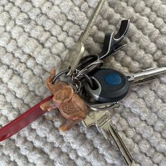 Sleutels keys sleutelbos olifantje, amint azt az iLostnak jelentették.