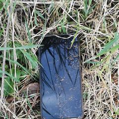 Samsung Galaxy A12 smartphone, iLost에 보고됨