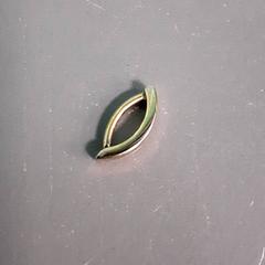 Brinco, como reportado por Diergaarde Blijdorp utilizando o iLost