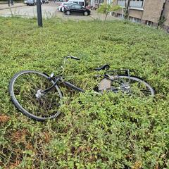 Fiets a été signalé sur iLost