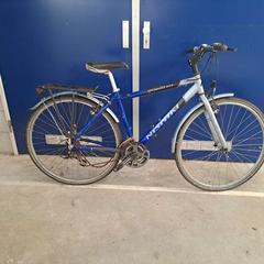 Pánsky bicykel Giant Custom zilvergrijs groen, ako bolo nahlásené Gemeente Heusden pomocou iLost