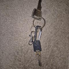 Sleutelbos, iLost-i jakinarazi zaion moduan