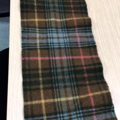 Šál Groen/bruin geruit patroon, ako bolo nahlásené Diakonessenhuis Zeist pomocou iLost