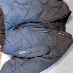 Jacket, as reported by Diergaarde Blijdorp using iLost