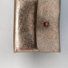 Wallet Devos, as reported by Regio West-Vlaanderen using iLost